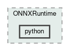 addons/ONNXRuntime/python